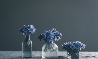 Blue flowers in their pots